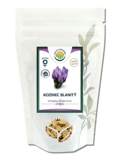 Kozinec blanitý - Astragalus kořen 